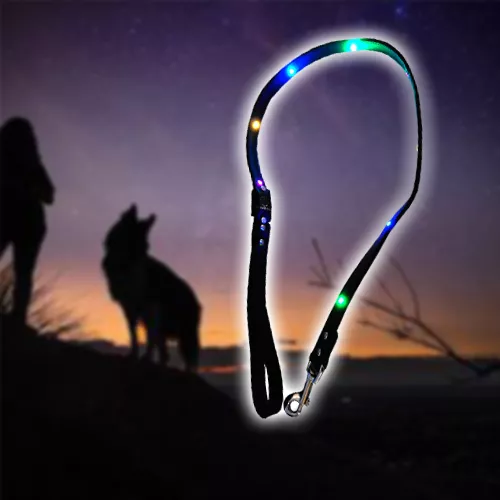 Világító RGB LED póráz